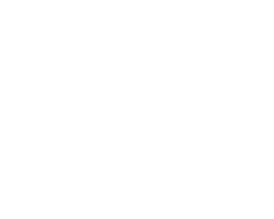 Gartner 2019